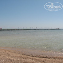 фото из отзыва ID 1314824