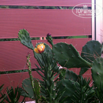 фото из отзыва ID 1319291