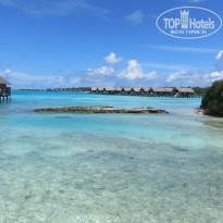 фото из отзыва ID 1319319