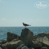 фото из отзыва ID 1319253