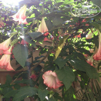 фото из отзыва ID 1316216