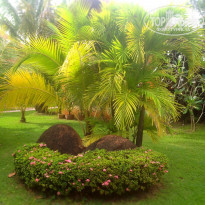 фото из отзыва ID 1319678