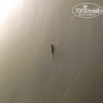 фото из отзыва ID 1319698