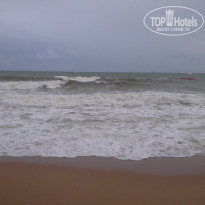 фото из отзыва ID 1319698