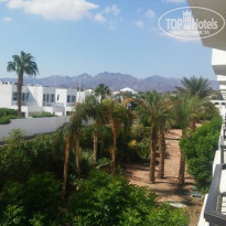 фото из отзыва ID 1319827