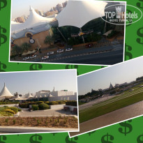 фото из отзыва ID 1319910