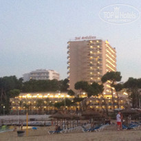 фото из отзыва ID 1319943