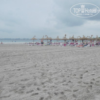 фото из отзыва ID 1319509