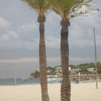 фото из отзыва ID 1319509