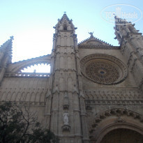 фото из отзыва ID 1319509