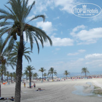 фото из отзыва ID 1319509