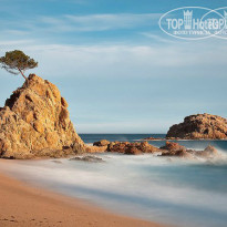 фото из отзыва ID 1317041