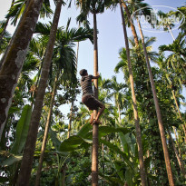 фото из отзыва ID 1317466