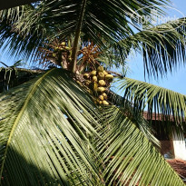 фото из отзыва ID 1318464