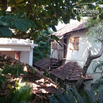 фото из отзыва ID 1318464