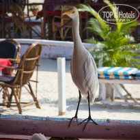 фото из отзыва ID 1317466