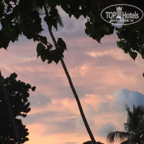 фото из отзыва ID 1310771