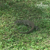 фото из отзыва ID 1310771