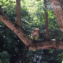 фото из отзыва ID 1310771