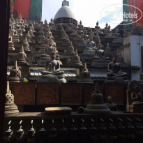 фото из отзыва ID 1310771