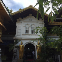 фото из отзыва ID 1310771