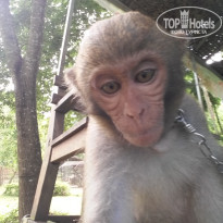 фото из отзыва ID 1317049