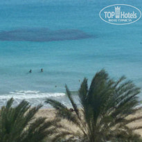 фото из отзыва ID 1319563