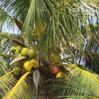 фото из отзыва ID 1317331