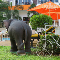 фото из отзыва ID 1317331