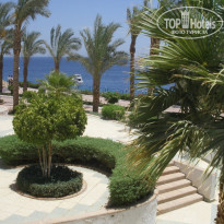 фото из отзыва ID 1316380