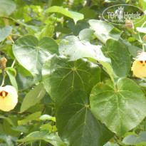 фото из отзыва ID 1314639