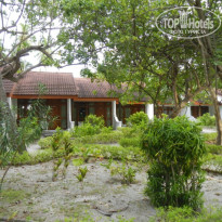 фото из отзыва ID 1314639