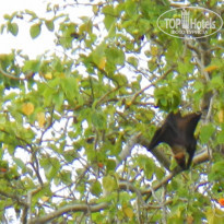 фото из отзыва ID 1314639