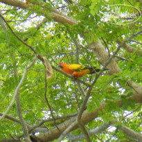 фото из отзыва ID 1314639