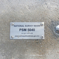 фото из отзыва ID 1314639