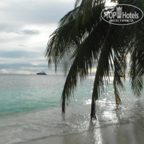 фото из отзыва ID 1314639