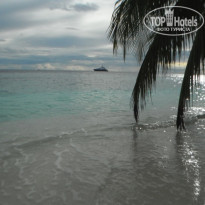 фото из отзыва ID 1314639