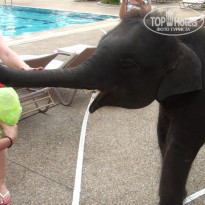 фото из отзыва ID 1315282