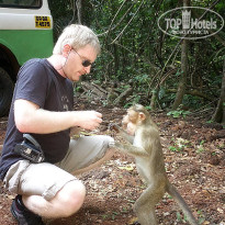 фото из отзыва ID 1319159