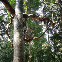 фото из отзыва ID 1319159