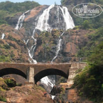 фото из отзыва ID 1319159