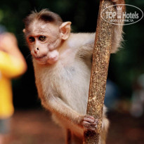 фото из отзыва ID 1319159