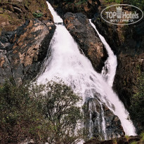 фото из отзыва ID 1319159