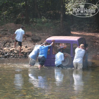 фото из отзыва ID 1319159