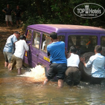 фото из отзыва ID 1319159