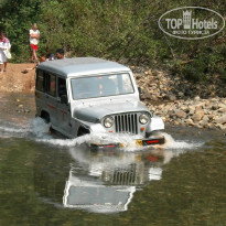 фото из отзыва ID 1319159