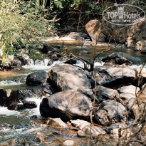 фото из отзыва ID 1319159