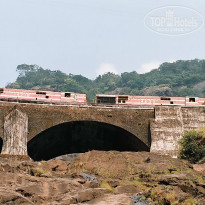 фото из отзыва ID 1319159