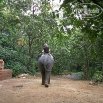 фото из отзыва ID 1319159