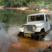 фото из отзыва ID 1319159